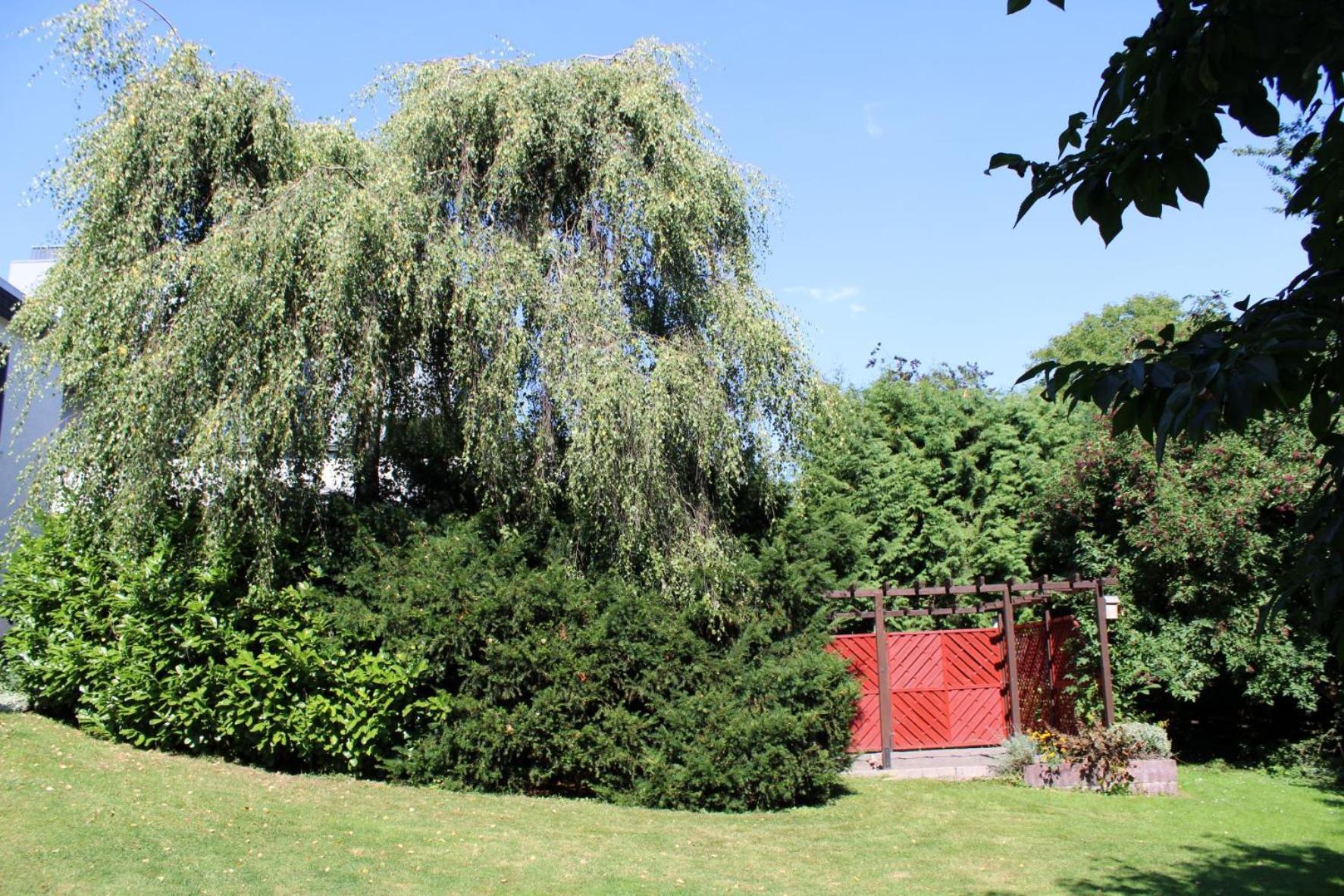 Möhnesee Ferienwohnung Moehneblick מראה חיצוני תמונה